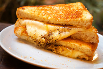 grilled cheese sandwich
