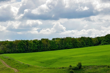 The slope of a green hill and a country road against the background of forest and cloudy sky. Selective focus. Copy space