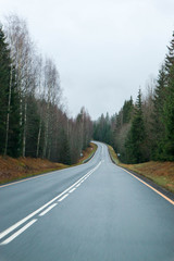 Fototapeta premium asphalt road in the autumn forest