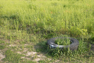 Environmental pollution concept image of car rubber tire thrown into a green field