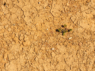 Dry desert cracked ground background