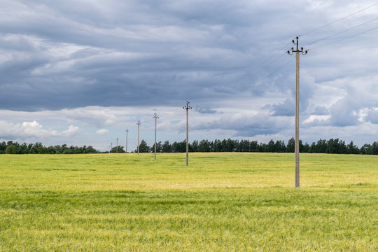 Power poles through a field in northern Lithuania