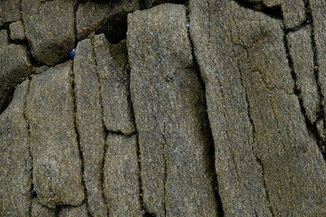 Muro di pietra, backgound texture