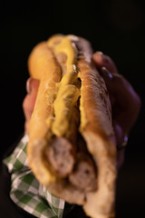 German Food - Bratwurst