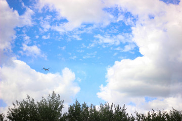 Obraz premium fly away