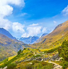 Fototapety na wymiar - Fototapeta24.pl