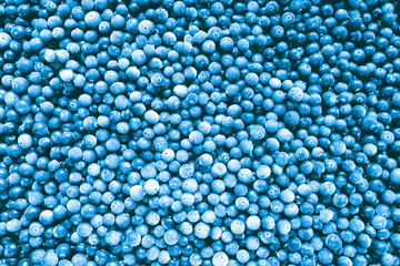 Abstract background made from frozen red cranberries. Top view. Toned in classic blue color