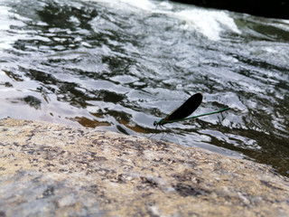 Bath kura © Hashan