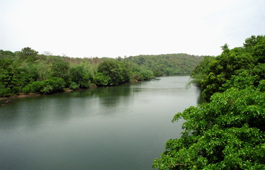Fototapeta na wymiar A jungle river in rural India