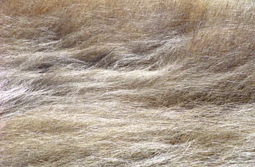 Haystack in field 