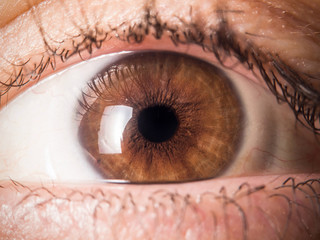 Human eye close up medical detail