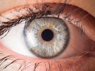 Human eye close up medical detail