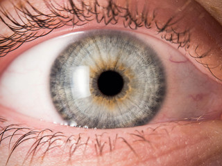 Human eye close up medical detail
