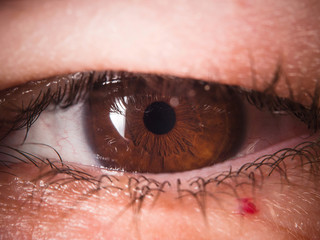 Human eye close up medical detail