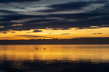 Sonnenaufgang Alpen Bodensee