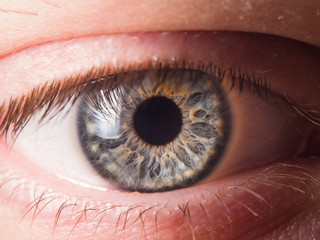 Human eye close up medical detail