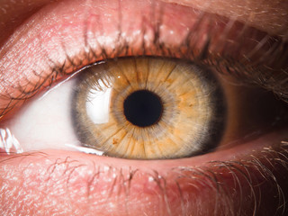 Detail of human eye eyeball