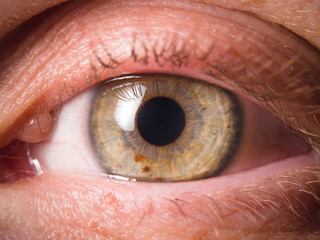 Detail of human eye eyeball