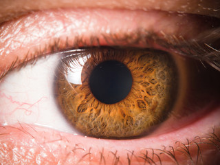 Detail of human eye eyeball