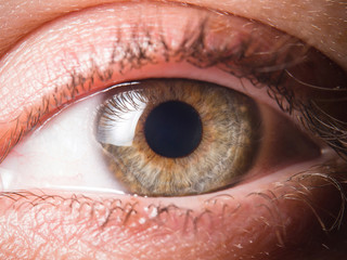 Detail of human eye eyeball