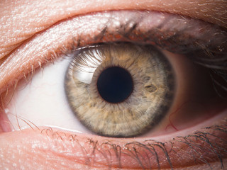 Detail of human eye eyeball