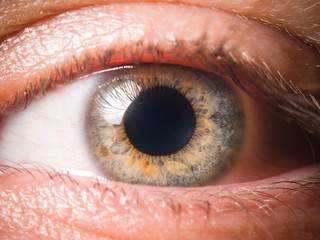 Human eye close up medical detail