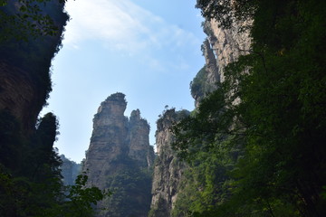 Zhangjiajie National Forest