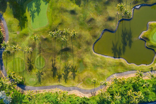 Palm trees and small pond in a golf course, aerial view.