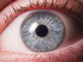 Human eye close up medical detail