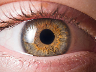 Human eye close up medical detail