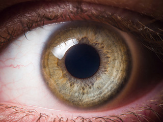 Human eye close up medical detail