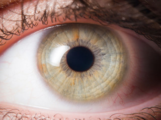 Human eye close up medical detail