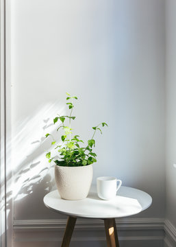 Potted plant on white table with cup in bright bedroom