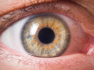 Human eye close up medical detail