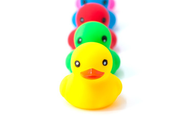 Colorful ducks in a row isolated over white. Rubber ducks in a row on a white background