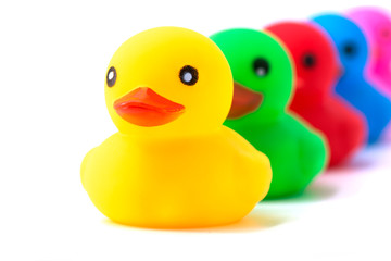 Colorful ducks in a row isolated over white. Rubber ducks in a row on a white background