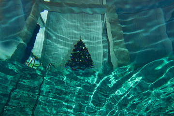 Christmas tree from under the water