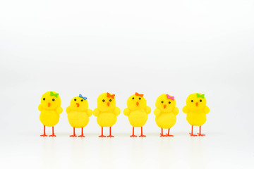 Cute yellow model chicks in a line facing forwards. Isolated on a plain white background 