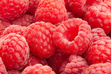 raspberry