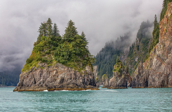 Kenai Fjords national park 