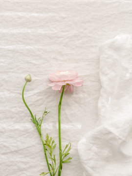 Ranunculus on a white linen table cloth