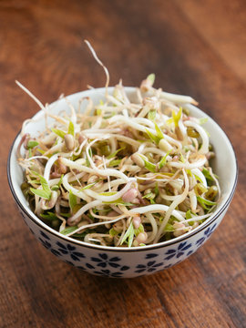 Mung bean sprouts