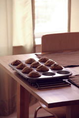 Chocolate chip muffins cooling on a rack in the dining room