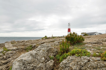 Fototapeta na wymiar Portland lighthouse on coast of sea, Weymouth, England