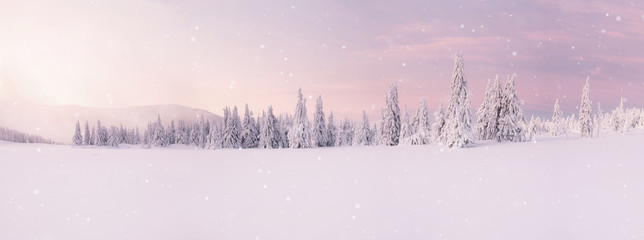 Beautiful winter mountains landscape, trees covered with snow.