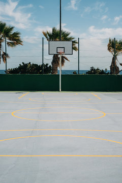 Basketball Court With Palm Trees