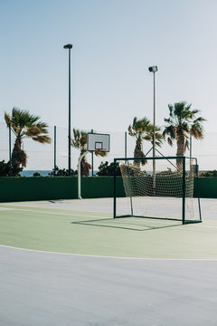 Sports Court With Palm Trees