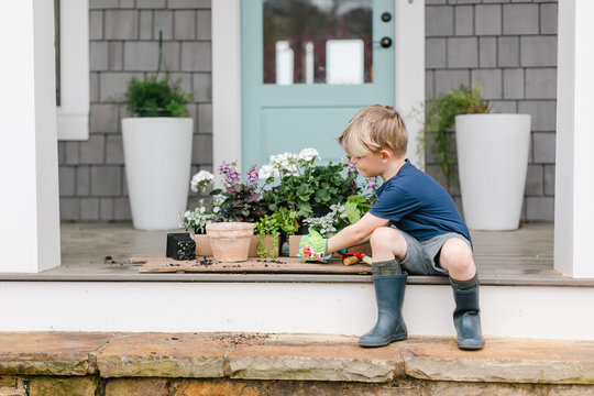 Little boy selecting spring plants