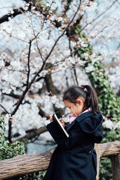 Cute girl drawing under blooming cherry