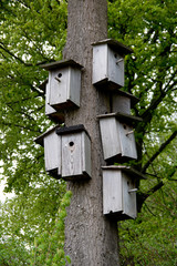 The solution to housing shortages